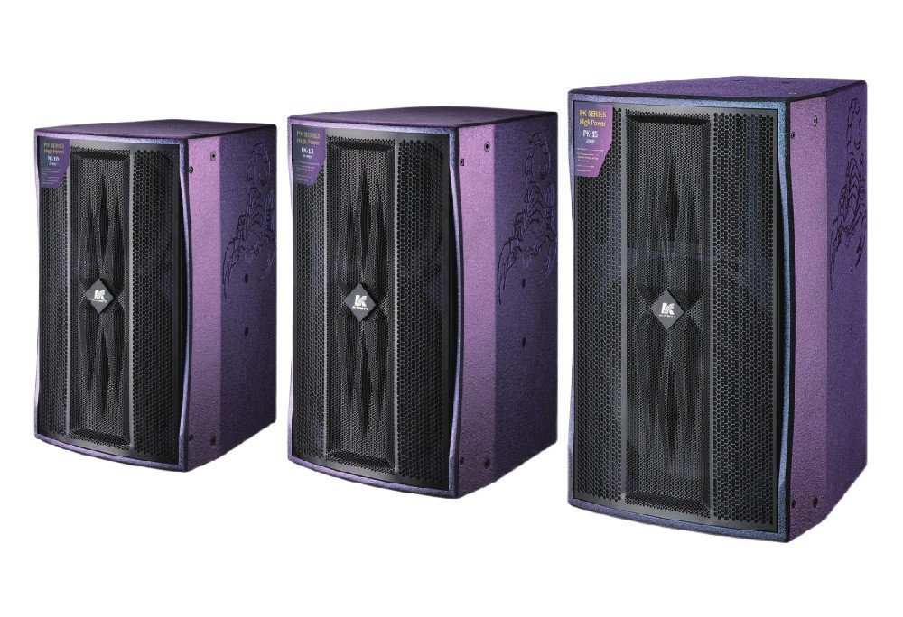 Série PK Duas vias Full Frequency Speaker Corpo de caixa de madeira contraplacada de bétula 10 12 15 polegadas